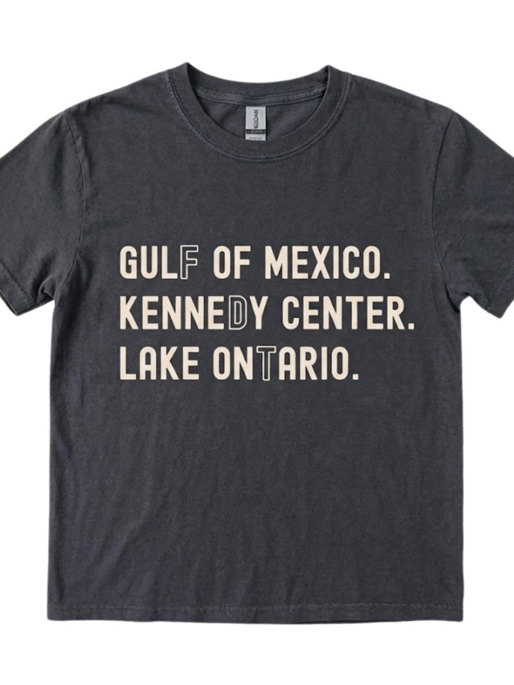 Gulf Of Mexico Kennedy Center Lake Ontario Graphic Gildan Black T-Shirt